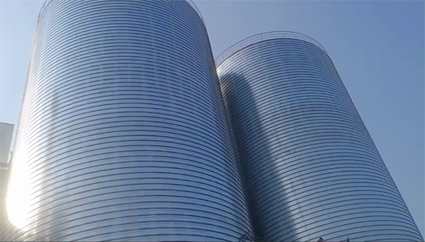 五龙口镇2座混凝土高架卷板仓